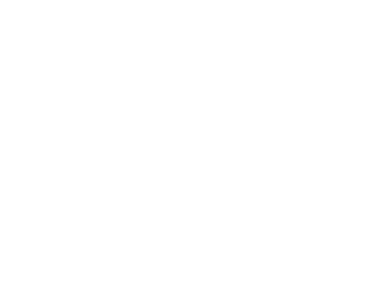 Eagles Nuggets Logo