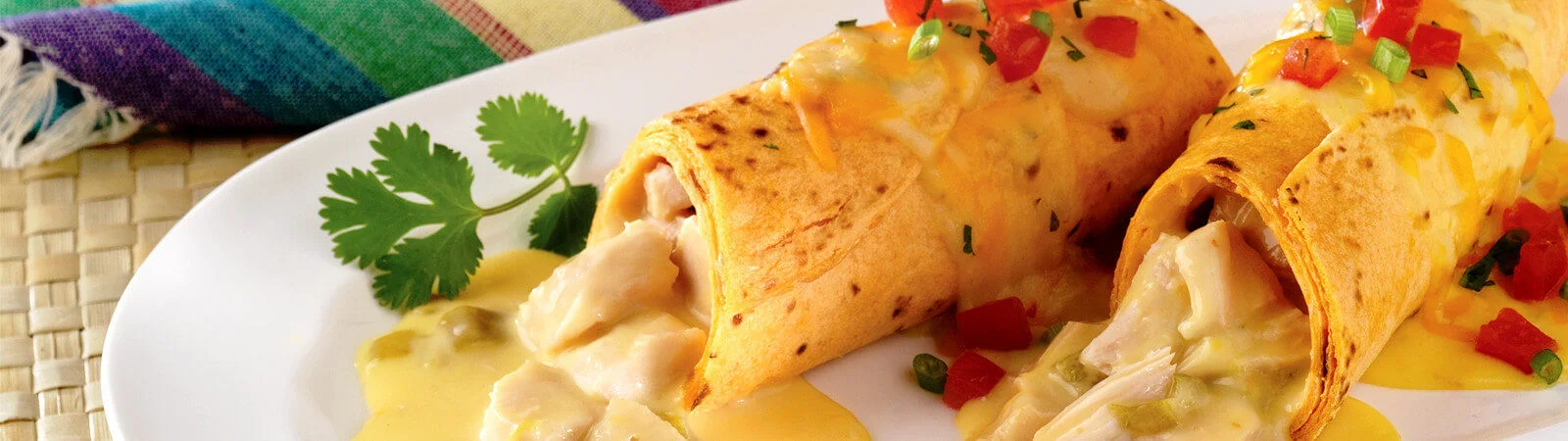 Creamy Chicken Enchiladas